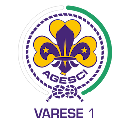 Logo Varese 1